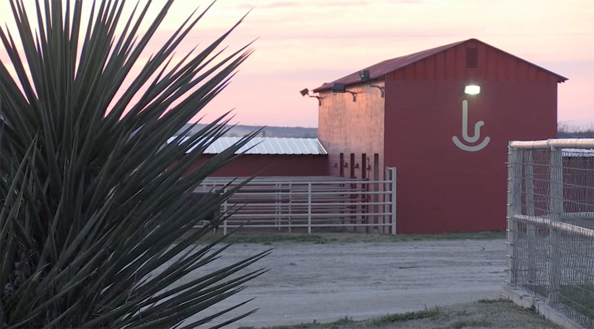 About | Rocker B Ranch | Stallions, Cattle & Hunting In Texas